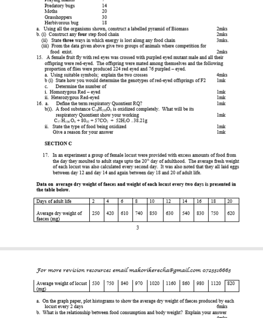 No preview available